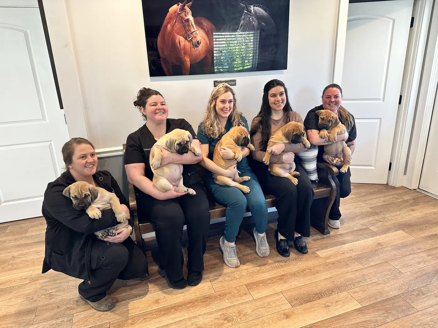 The veterinary practice team seated along a bench, each holding one South African Boerboel puppy from a LowCountry Boerboels litter at its health check